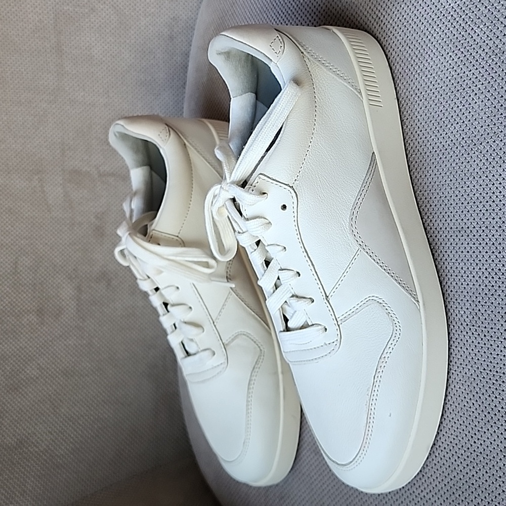 Everlane ReLeather Court SneakerNwot